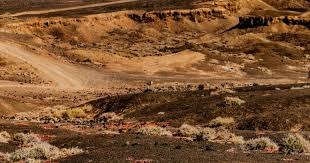 朱塞佩·拉法埃莱在输给锡拉库萨后面临下课危机，萨勒尼塔纳正考虑换帅。 来源：著名记者斯基拉